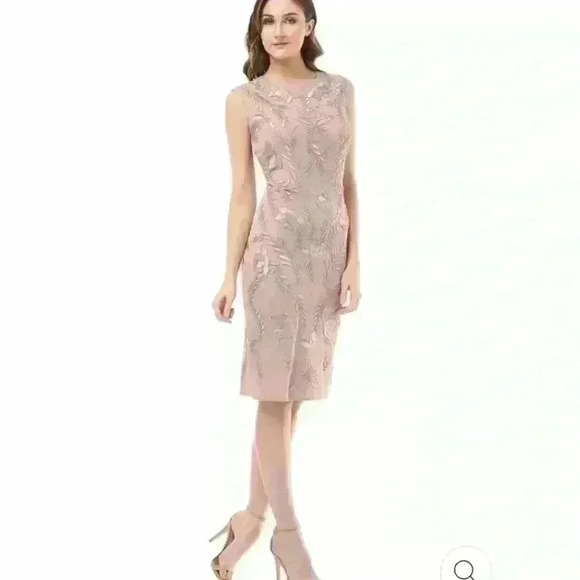 JS Collections Dori Embroidered Cap Sleeve Dress - Picture 1 of 11